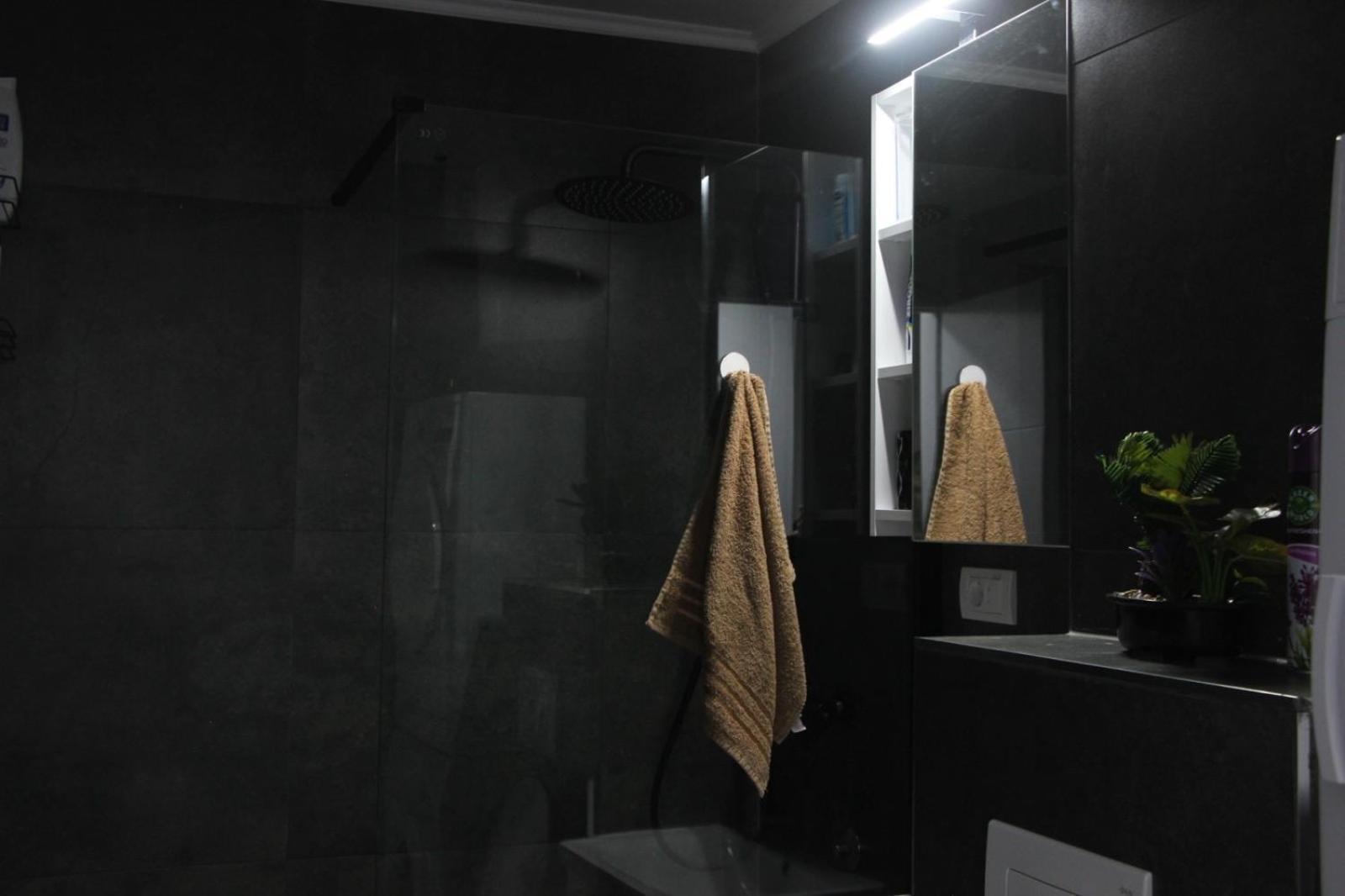 Apartment Milicevic *