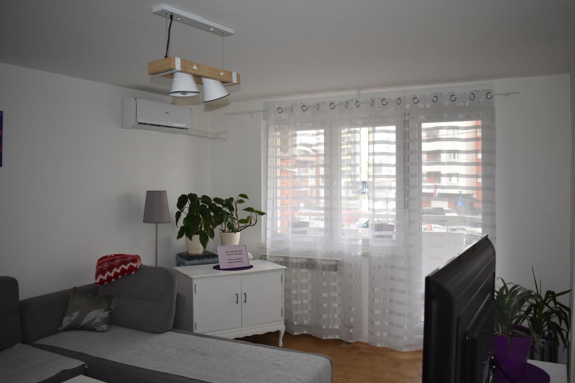 Apartment Milicevic *